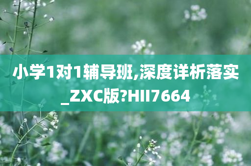 小学1对1辅导班,深度详析落实_ZXC版?HII7664