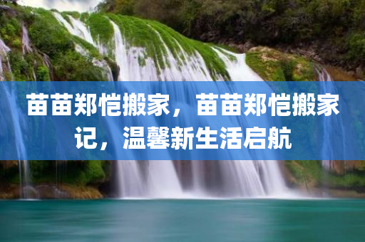 苗苗郑恺搬家，苗苗郑恺搬家记，温馨新生活启航，苗苗郑恺温馨搬家记，新生活启航之旅