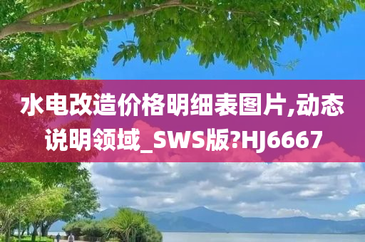 水电改造价格明细表图片,动态说明领域_SWS版?HJ6667