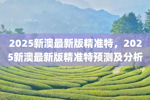 2025新澳最新版精准特，2025新澳最新版精准特预测及分析