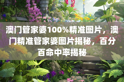澳门管家婆100%精准图片，澳门精准管家婆图片揭秘，百分百命中率揭秘