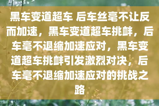 黑车变道超车 后车丝毫不让反而加速，黑车变道超车挑衅，后车毫不退缩加速应对，黑车变道超车挑衅引发激烈对决，后车毫不退缩加速应对的挑战之路