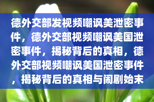 德外交部发视频嘲讽美泄密事件，德外交部视频嘲讽美国泄密事件，揭秘背后的真相，德外交部视频嘲讽美国泄密事件，揭秘背后的真相与闹剧始末