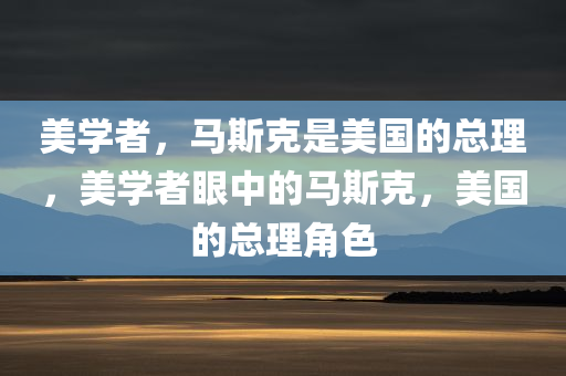 美学者，马斯克是美国的总理，美学者眼中的马斯克，美国的总理角色，美学者眼中的马斯克，美国的总理角色解读