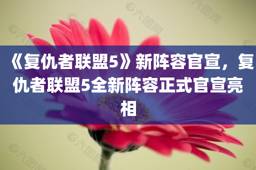 《复仇者联盟5》新阵容官宣，复仇者联盟5全新阵容正式官宣亮相