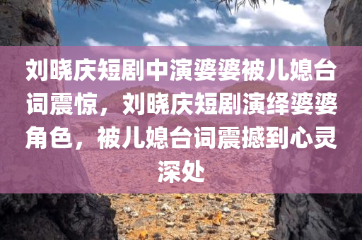 刘晓庆短剧中演婆婆被儿媳台词震惊，刘晓庆短剧演绎婆婆角色，被儿媳台词震撼到心灵深处，刘晓庆演绎短剧婆婆角色，儿媳台词震撼心灵深处，引发网友热议