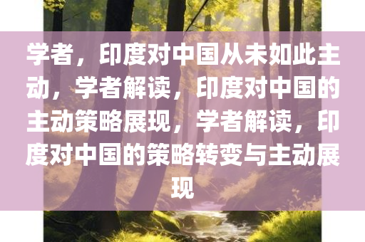 学者，印度对中国从未如此主动，学者解读，印度对中国的主动策略展现，学者解读，印度对中国的策略转变与主动展现