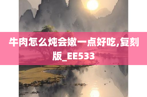 牛肉怎么炖会嫩一点好吃,复刻版_EE533
