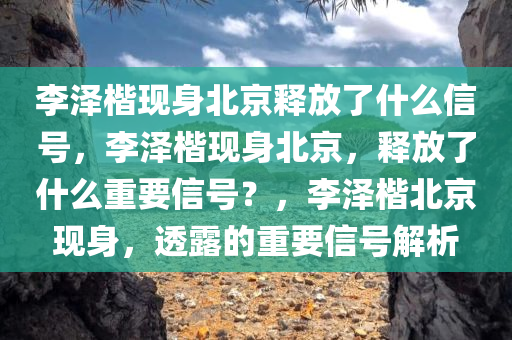 李泽楷现身北京释放了什么信号，李泽楷现身北京，释放了什么重要信号？，李泽楷北京现身，透露的重要信号解析