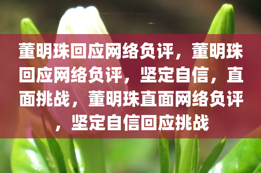 董明珠回应网络负评，董明珠回应网络负评，坚定自信，直面挑战，董明珠直面网络负评，坚定自信回应挑战