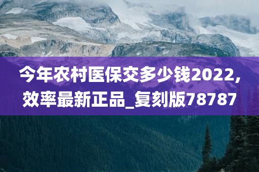 今年农村医保交多少钱2022,效率最新正品_复刻版78787