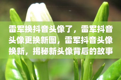 雷军换抖音头像了，雷军抖音头像更换新图，雷军抖音头像换新，揭秘新头像背后的故事