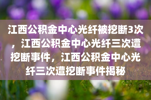 江西公积金中心光纤被挖断3次，江西公积金中心光纤三次遭挖断事件，江西公积金中心光纤三次遭挖断事件揭秘
