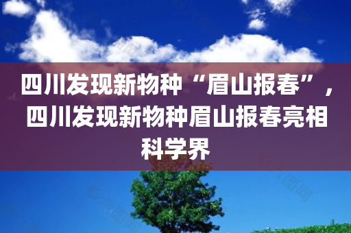 四川发现新物种“眉山报春”，四川发现新物种眉山报春亮相科学界