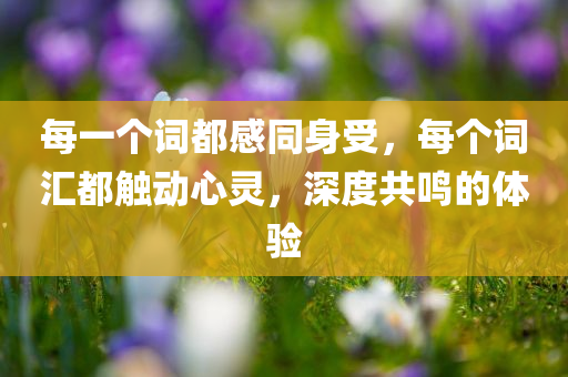 每一个词都感同身受，每个词汇都触动心灵，深度共鸣的体验