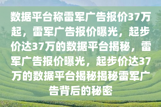 数据平台称雷军广告报价37万起，雷军广告报价曝光，起步价达37万的数据平台揭秘，雷军广告报价曝光，起步价达37万的数据平台揭秘揭秘雷军广告背后的秘密