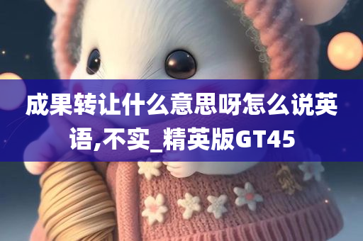 成果转让什么意思呀怎么说英语,不实_精英版GT45