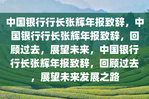中国银行行长张辉年报致辞，中国银行行长张辉年报致辞，回顾过去，展望未来，中国银行行长张辉年报致辞，回顾过去，展望未来发展之路
