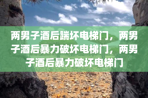 两男子酒后踹坏电梯门，两男子酒后暴力破坏电梯门，两男子酒后暴力破坏电梯门