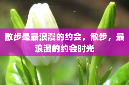 散步是最浪漫的约会，散步，最浪漫的约会时光