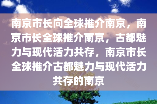 南京市长向全球推介南京，南京市长全球推介南京，古都魅力与现代活力共存，南京市长全球推介古都魅力与现代活力共存的南京