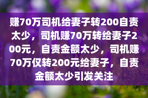 赚70万司机给妻子转200自责太少，司机赚70万转给妻子200元，自责金额太少，司机赚70万仅转200元给妻子，自责金额太少引发关注
