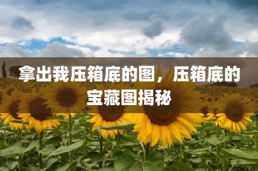 拿出我压箱底的图，压箱底的宝藏图揭秘