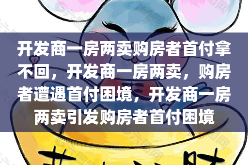 开发商一房两卖购房者首付拿不回，开发商一房两卖，购房者遭遇首付困境，开发商一房两卖引发购房者首付困境