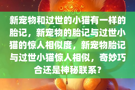 新宠物和过世的小猫有一样的胎记，新宠物的胎记与过世小猫的惊人相似度，新宠物胎记与过世小猫惊人相似，奇妙巧合还是神秘联系？
