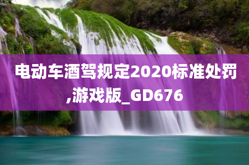 电动车酒驾规定2020标准处罚,游戏版_GD676