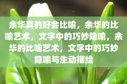 余华真的好会比喻，余华的比喻艺术，文字中的巧妙隐喻，余华的比喻艺术，文字中的巧妙隐喻与生动描绘