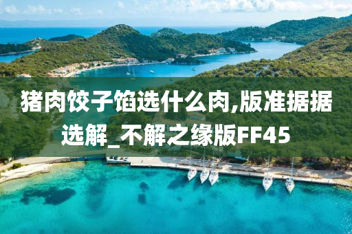 猪肉饺子馅选什么肉,版准据据选解_不解之缘版FF45