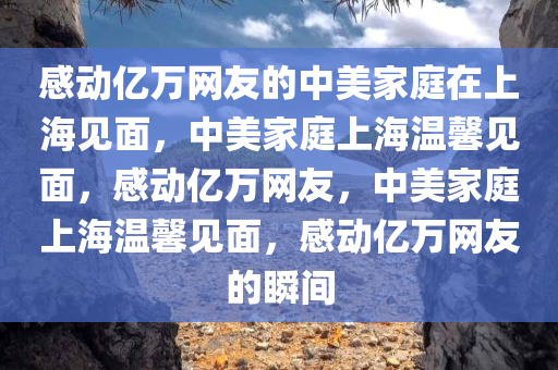 感动亿万网友的中美家庭在上海见面，中美家庭上海温馨见面，感动亿万网友，中美家庭上海温馨见面，感动亿万网友的瞬间