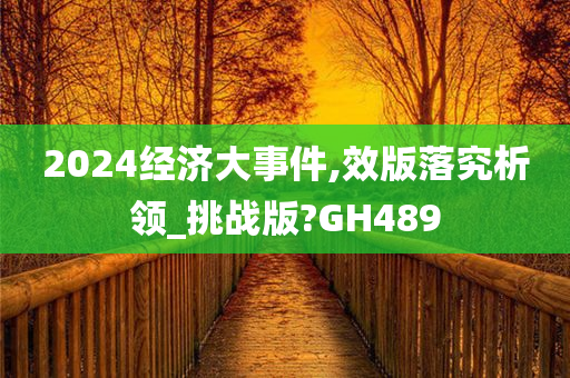 2024经济大事件,效版落究析领_挑战版?GH489