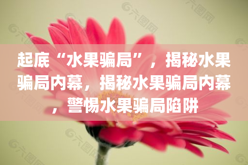 起底“水果骗局”，揭秘水果骗局内幕，揭秘水果骗局内幕，警惕水果骗局陷阱