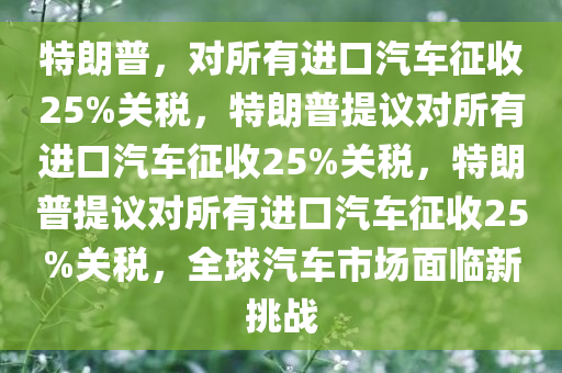 特朗普，对所有进口汽车征收25%关税，特朗普提议对所有进口汽车征收25%关税，特朗普提议对所有进口汽车征收25%关税，全球汽车市场面临新挑战
