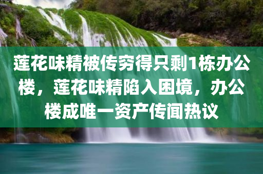 莲花味精被传穷得只剩1栋办公楼，莲花味精陷入困境，办公楼成唯一资产传闻热议，莲花味精陷困境，办公楼成唯一资产传闻热议