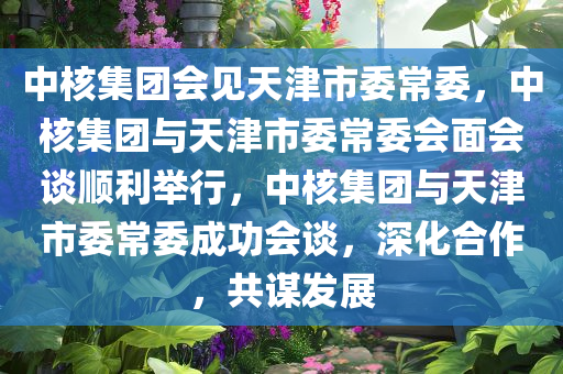 中核集团会见天津市委常委，中核集团与天津市委常委会面会谈顺利举行，中核集团与天津市委常委成功会谈，深化合作，共谋发展