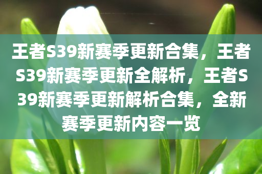 王者S39新赛季更新合集，王者S39新赛季更新全解析，王者S39新赛季更新解析合集，全新赛季更新内容一览