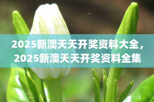 2025新澳天天开奖资料大全，2025新澳天天开奖资料全集