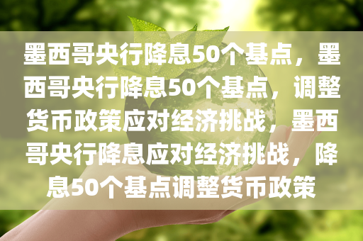 墨西哥央行降息50个基点，墨西哥央行降息50个基点，调整货币政策应对经济挑战，墨西哥央行降息应对经济挑战，降息50个基点调整货币政策