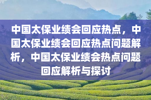 中国太保业绩会回应热点，中国太保业绩会回应热点问题解析，中国太保业绩会热点问题回应解析与探讨