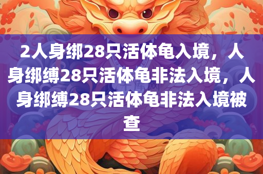 2人身绑28只活体龟入境，人身绑缚28只活体龟非法入境，人身绑缚28只活体龟非法入境被查