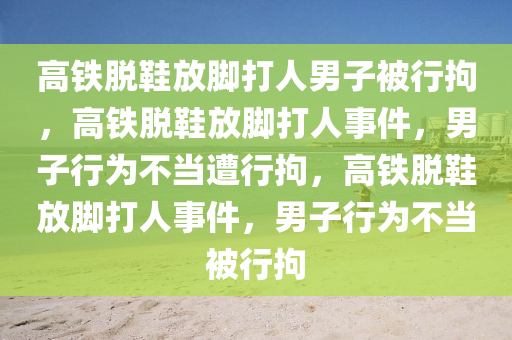 高铁脱鞋放脚打人男子被行拘，高铁脱鞋放脚打人事件，男子行为不当遭行拘，高铁脱鞋放脚打人事件，男子行为不当被行拘