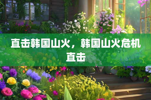 直击韩国山火，韩国山火危机直击
