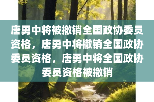 唐勇中将被撤销全国政协委员资格，唐勇中将撤销全国政协委员资格，唐勇中将全国政协委员资格被撤销