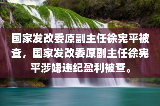 国家发改委原副主任徐宪平被查，国家发改委原副主任徐宪平涉嫌违纪盈利被查。