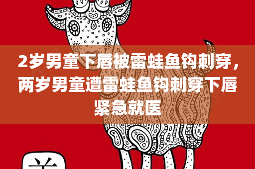 2岁男童下唇被雷蛙鱼钩刺穿，两岁男童遭雷蛙鱼钩刺穿下唇紧急就医