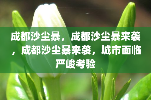 成都沙尘暴，成都沙尘暴来袭，成都沙尘暴来袭，城市面临严峻考验