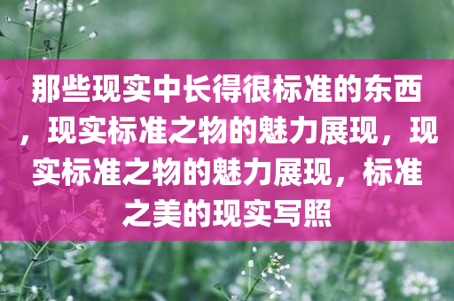 那些现实中长得很标准的东西，现实标准之物的魅力展现，现实标准之物的魅力展现，标准之美的现实写照